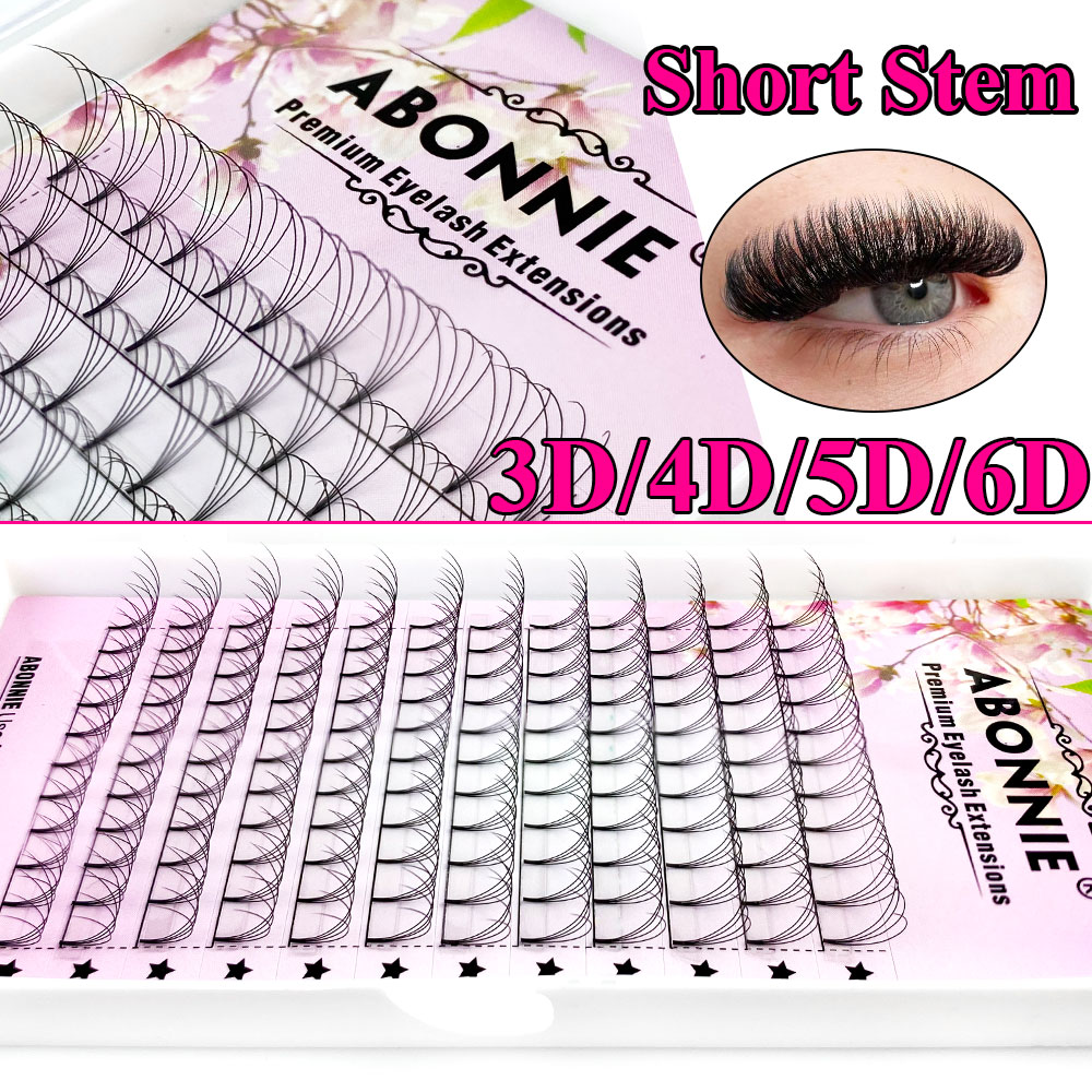 Abonnie 6D Narrow Fan Premade  - Eyelash Extension For Asian Eyes review and price